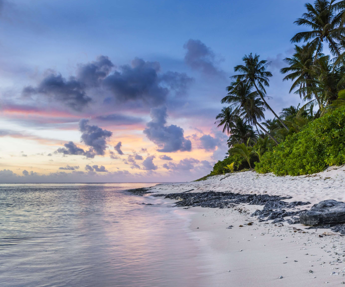 SAFARIS EN TANZANIE & ZANZIBAR